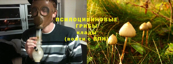 a pvp Лиски