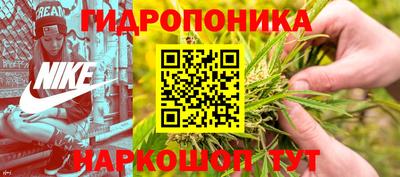стафф Моздок