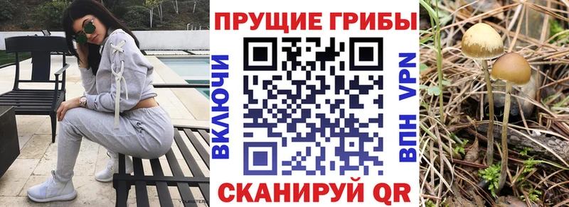 Псилоцибиновые грибы мухоморы  где можно купить   Можайск 