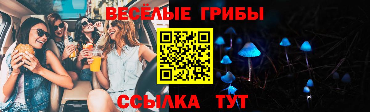 Можайск  купить закладку  Вход с VPN  Псилоцибиновые грибы Psilocybine cubensis 